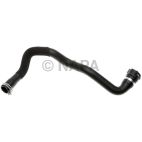 Radiator Coolant Hose