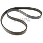 Accessory Drive Belt