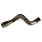 Radiator Coolant Hose