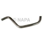 Radiator Coolant Hose
