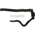 Radiator Coolant Hose