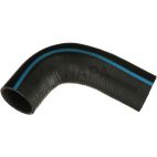 Radiator Coolant Hose