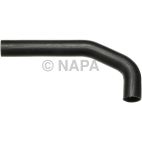 Radiator Coolant Hose