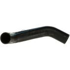 Radiator Coolant Hose