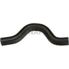 Radiator Coolant Hose