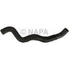 Radiator Coolant Hose