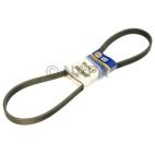 Accessory Drive Belt