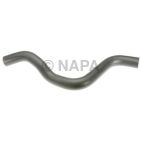 Radiator Coolant Hose