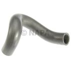 Radiator Coolant Hose