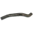Radiator Coolant Hose