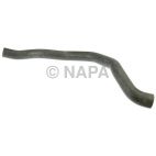 Radiator Coolant Hose