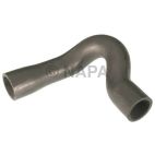Radiator Coolant Hose