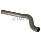 Radiator Coolant Hose