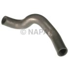 Radiator Coolant Hose