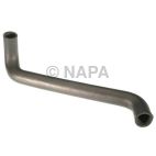 Radiator Coolant Hose