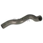 Radiator Coolant Hose