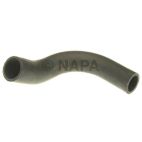 Radiator Coolant Hose