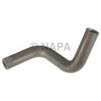 Radiator Coolant Hose