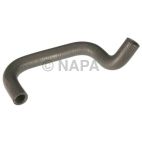 Radiator Coolant Hose
