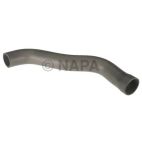Radiator Coolant Hose