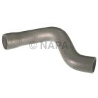 Radiator Coolant Hose