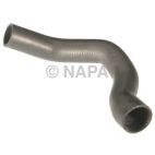 Radiator Coolant Hose