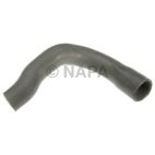 Radiator Coolant Hose