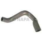 Radiator Coolant Hose