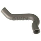Radiator Coolant Hose