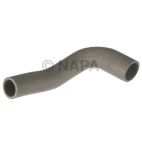 Radiator Coolant Hose