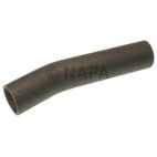 Radiator Coolant Hose
