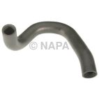 Radiator Coolant Hose