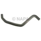 Radiator Coolant Hose