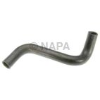 Radiator Coolant Hose