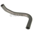 Radiator Coolant Hose