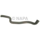 Radiator Coolant Hose