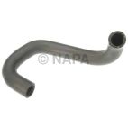 Radiator Coolant Hose