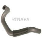 Radiator Coolant Hose