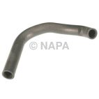 Radiator Coolant Hose