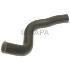 Radiator Coolant Hose