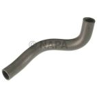 Radiator Coolant Hose