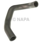 Radiator Coolant Hose