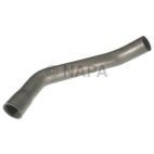 Radiator Coolant Hose