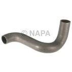 Radiator Coolant Hose