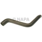 Radiator Coolant Hose