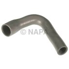 Radiator Coolant Hose