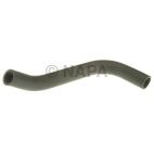 Radiator Coolant Hose