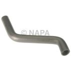Radiator Coolant Hose