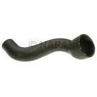 Radiator Coolant Hose