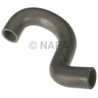 Radiator Coolant Hose